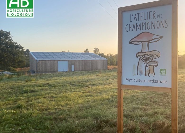 L&rsquo;atelier du champignon