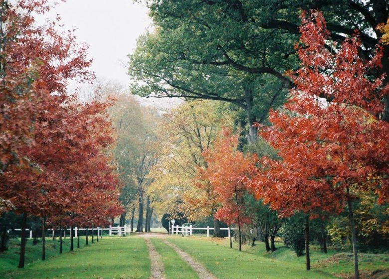 Parc du château du Martreil