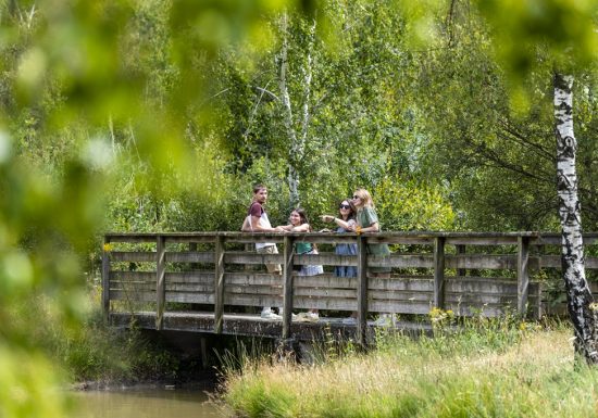 Aire de pique-nique Etang des Bruyères au Fuilet