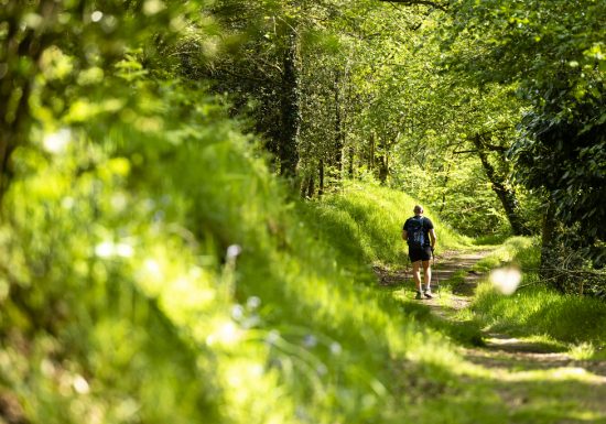 Sentier d’interprétation « Le Rocher du Manis » /!\ Fermé temporairement
