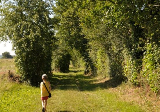 Sentier d’interprétation « Le Rocher du Manis » /!\ Fermé temporairement