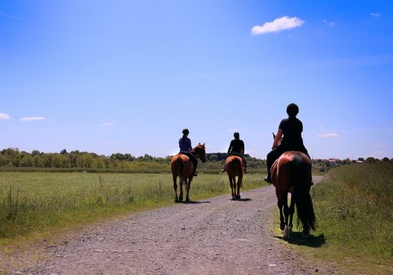 Vignes en Selle en Fête – Portes Ouvertes