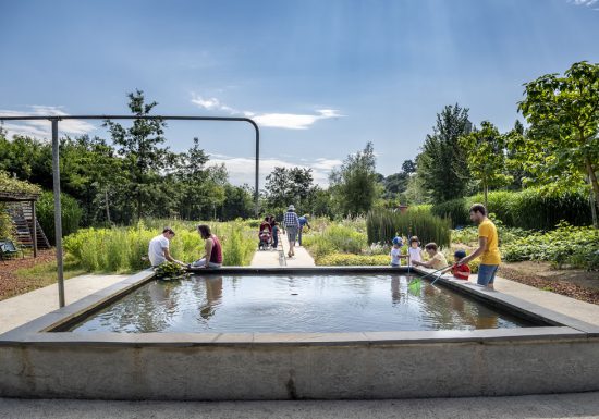 Initiation aux milieux aquatiques et ornithologiques de la Loire