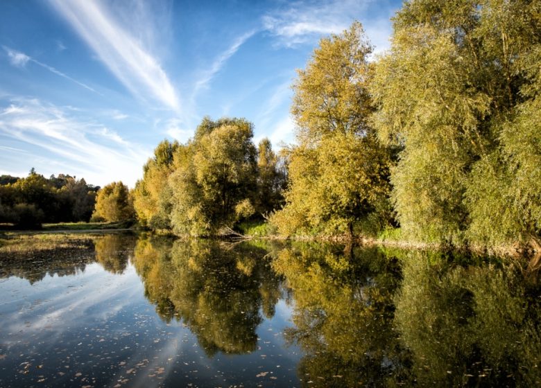 DÉTOURS EN LOIRE