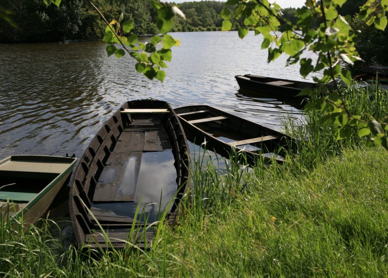 Drain – Entre Loire et Vignoble