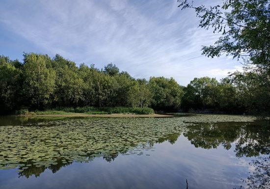 Balade découverte des boires de Drain