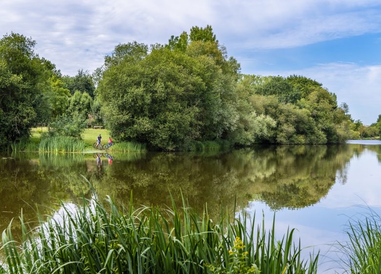 Pêche aux Boires de Drain