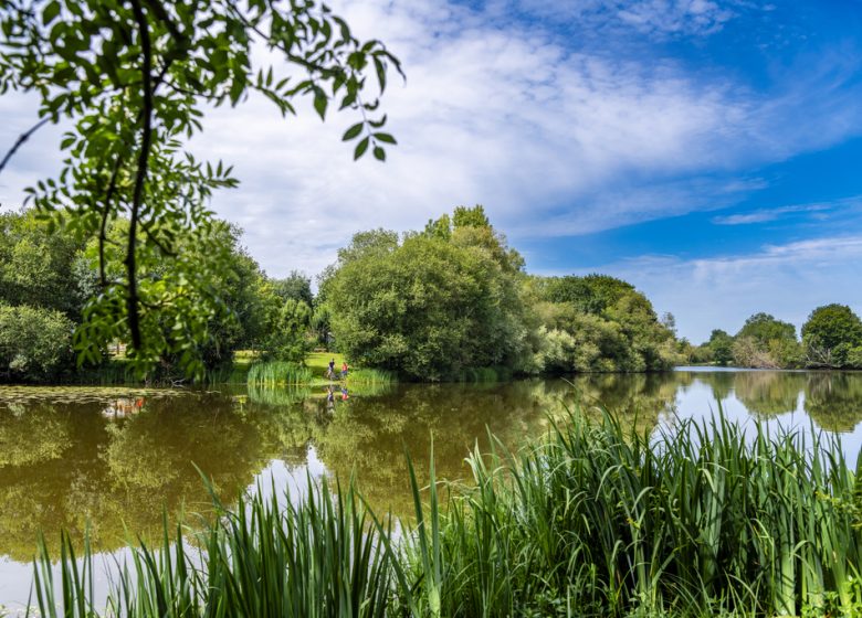 Drain – Entre Loire et Vignoble