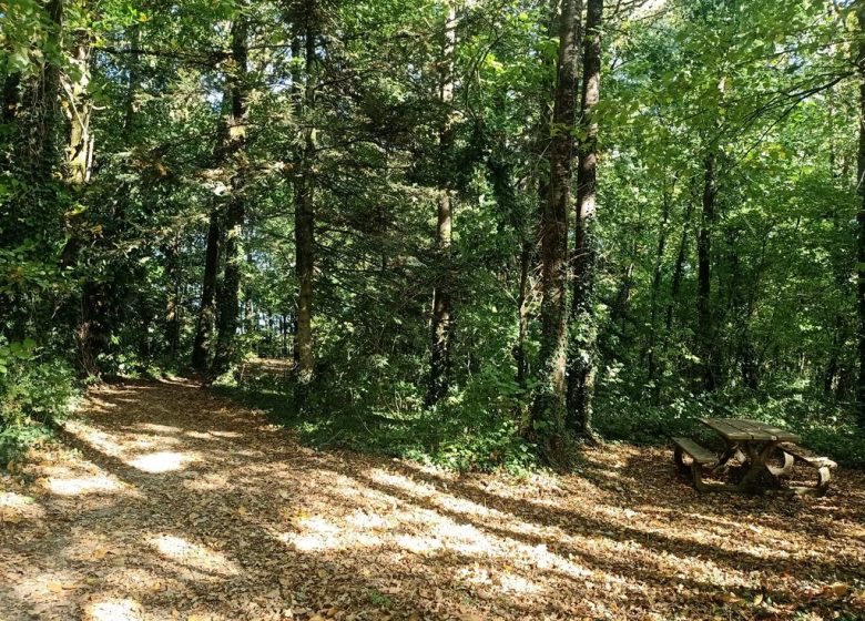 Aire de pique-nique de la Vallée du Graau