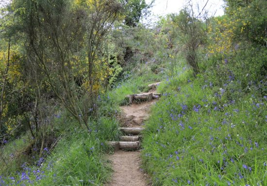 Balade photographique à Bois Gelé, La Pommeraye