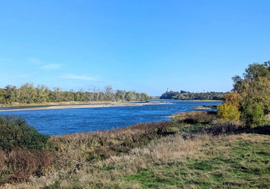 Parcours Canoë Loire N°6 – De Saint-Florent-le-Vieil à La Varenne