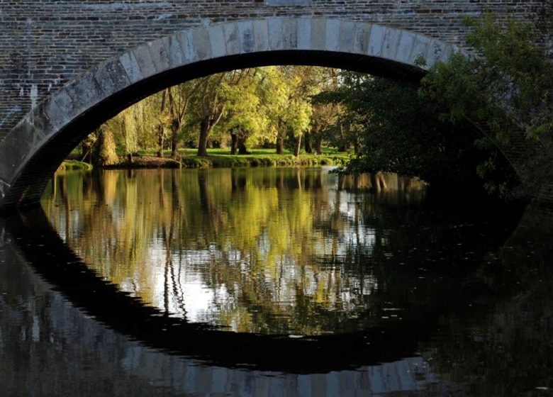 PÊCHE AU CHEMIN VERT DE NOTRE DAME DU MARILLAIS