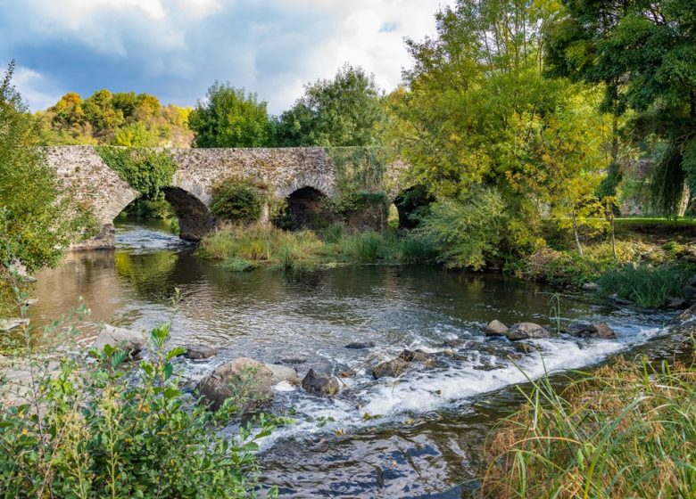 PÊCHE AU CHEMIN VERT DE NOTRE DAME DU MARILLAIS