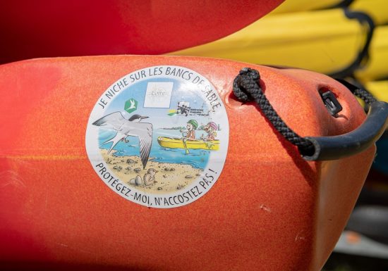 Parcours Canoë Loire N°5 – De Chalonnes-sur-Loire à Saint-Florent-le-Vieil