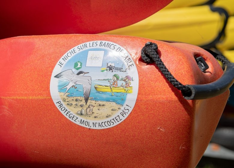 Parcours Canoë Loire N°5