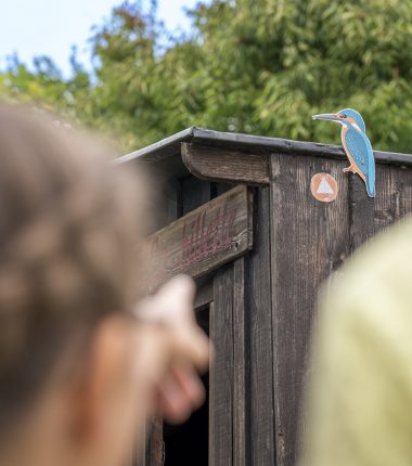 Rallye des oiseaux à Cap Loire