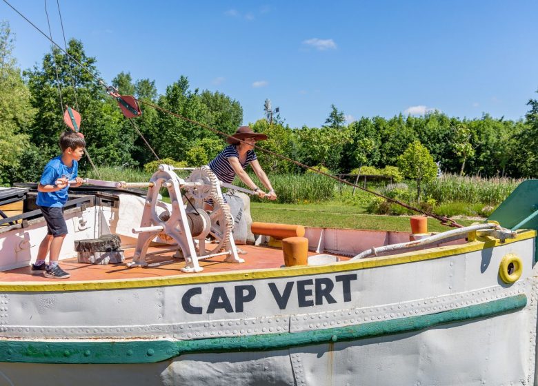 ATELIER APPRENTI NATURALISTE : LES PETITES BÊTES À CAP LOIRE