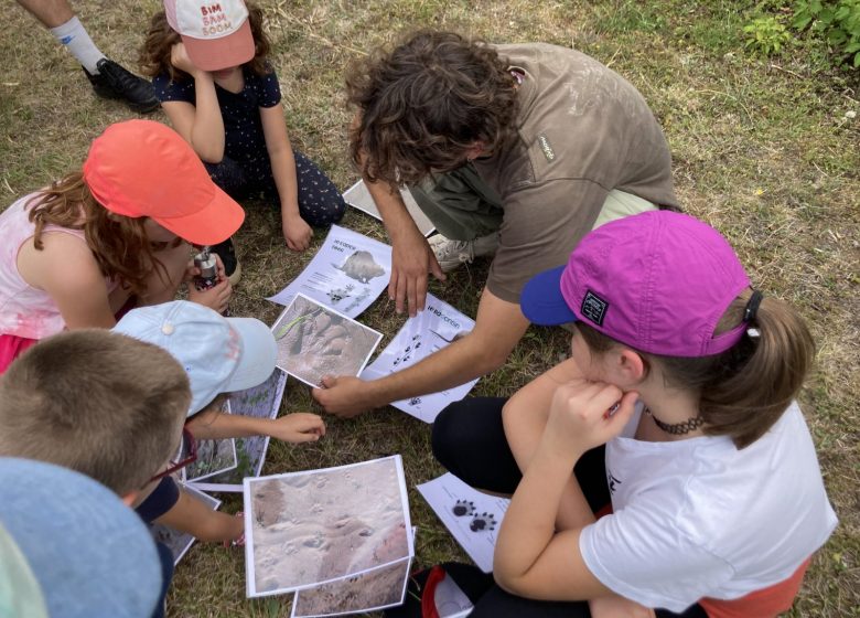 Le castor, animation nature à Cap Loire à 30 minute d&rsquo;Angers