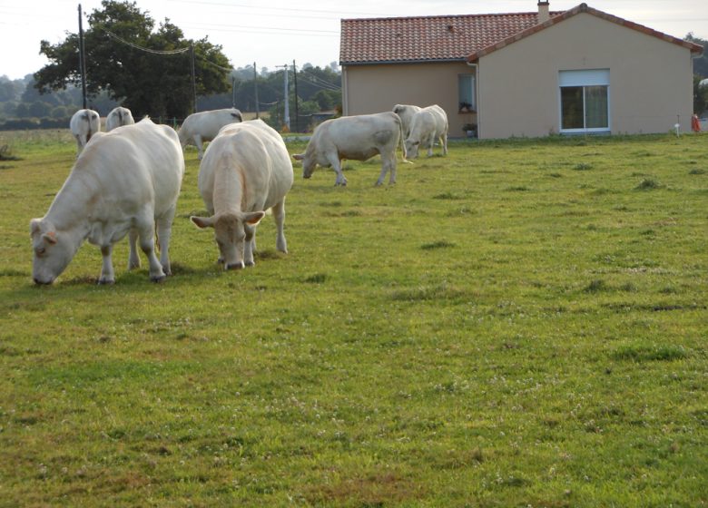 CHAMBRES D’HÔTES LA BASSE GOUGEONNIERE