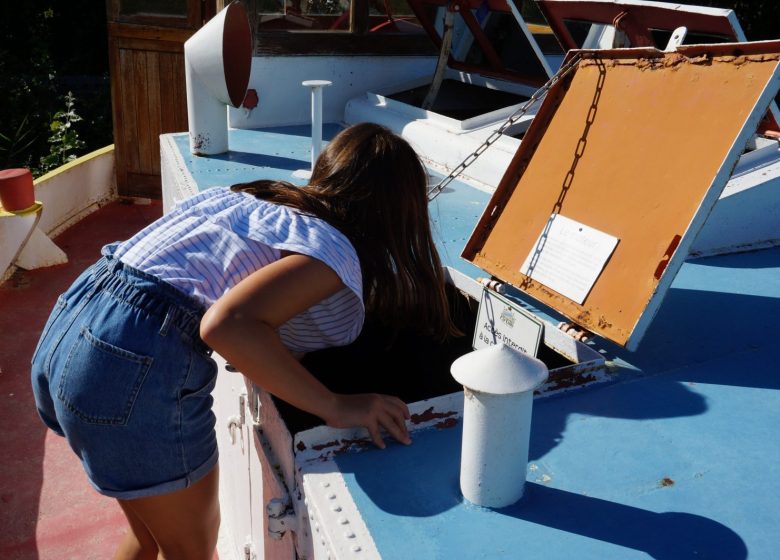 Animation : Chasse au trésor à Cap Loire