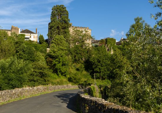 Château et ville fortifiée de Foulques Nerra