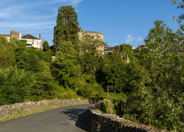Château et ville fortifiée de Foulques Nerra