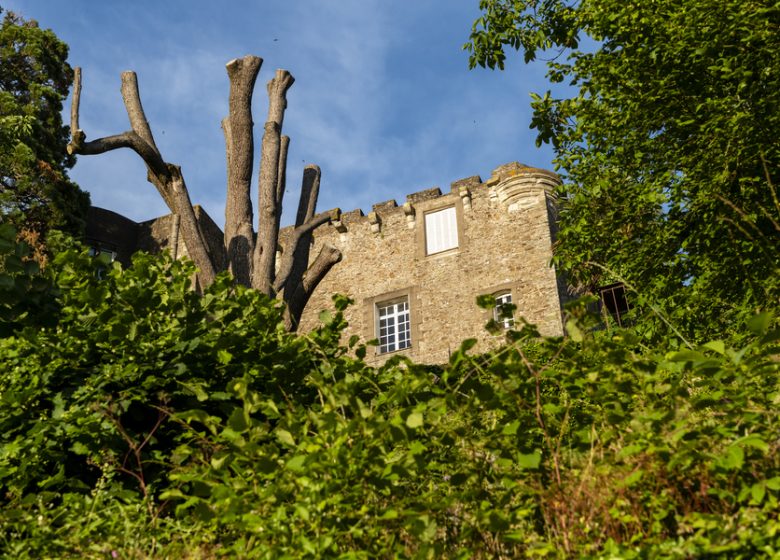 Château et ville fortifiée de Foulques Nerra