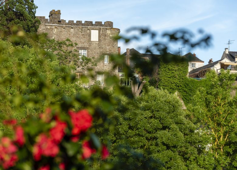 Château et ville fortifiée de Foulques Nerra