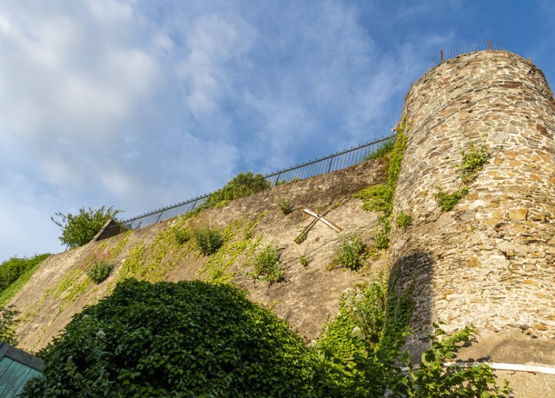 Château et ville fortifiée de Foulques Nerra