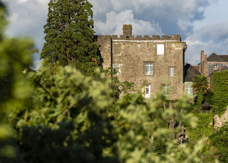 Château et ville fortifiée de Foulques Nerra