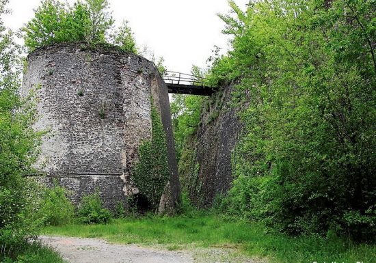 Balade photographique « Spécial orchidées » à Chateaupanne, Montjean-sur-Loire
