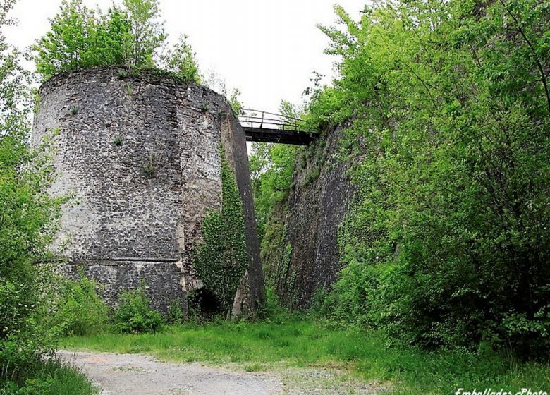 Balade photographique « Spécial orchidées » à Chateaupanne, Montjean-sur-Loire