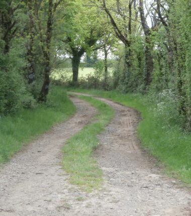 Randonnée « Sur les traces du Petit Anjou »