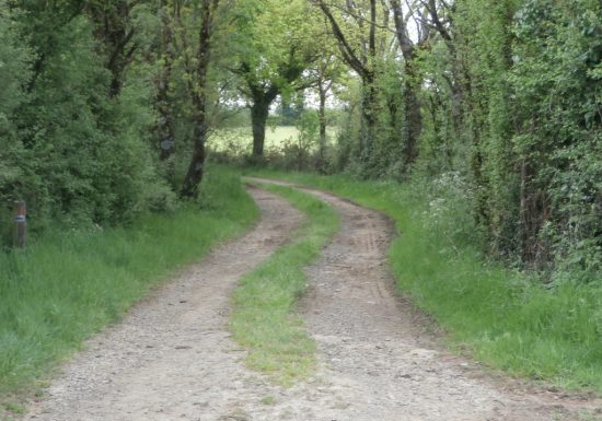 RANDONNÉE « DES CHÊNES ET DES LANDES » – VILLEDIEU LA BLOUÈRE