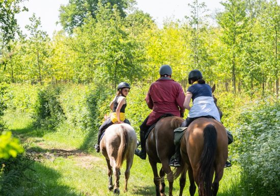 Haras de la Salmonière