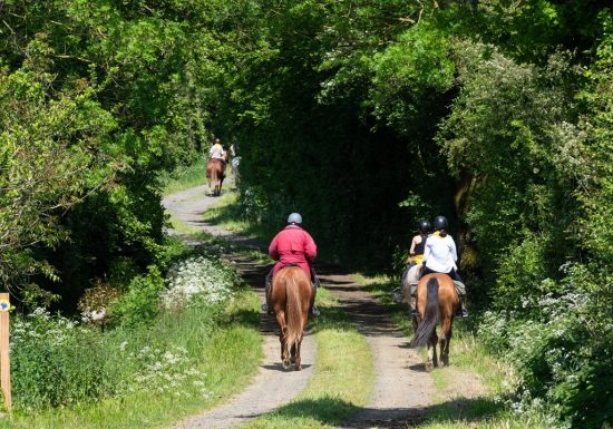Ferme Équestre de la Pétinière