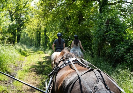 L’Étrier du Centaure