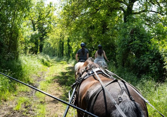Centre équestre des coteaux du jeu