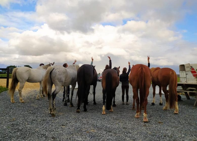Centre équestre des coteaux du jeu