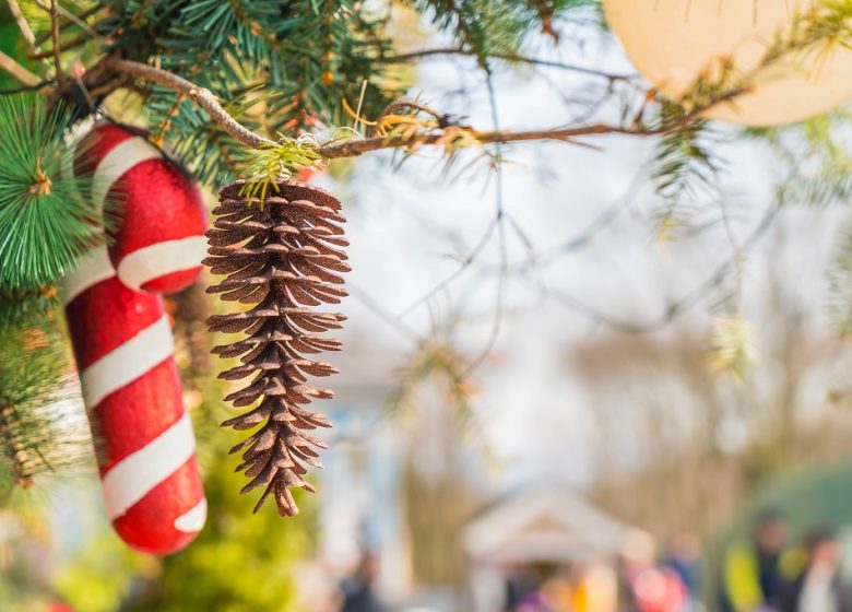 Marché et corrida de Noël à Bouzillé