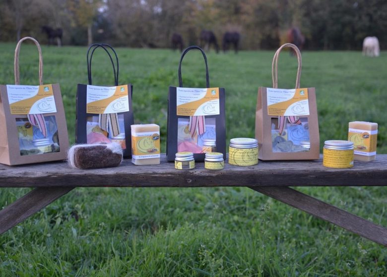 Ferme Équestre Du Chêne Rond