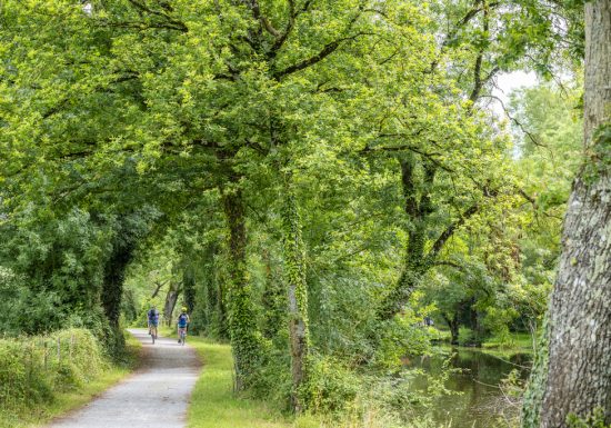 Drain – Entre Loire et Vignoble