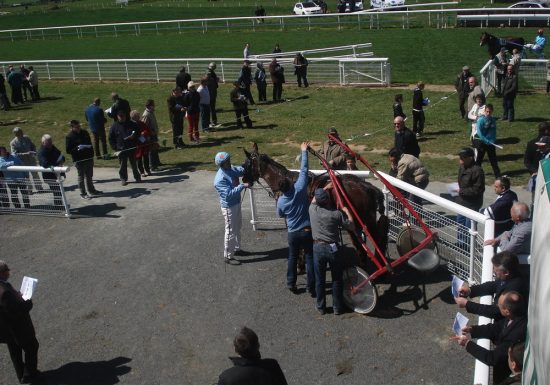 Courses hippiques de la Rochardière
