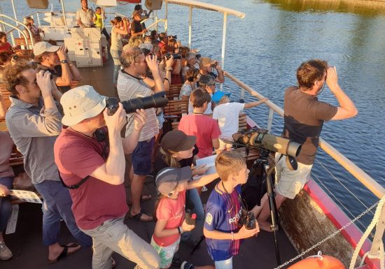 Croisière Ornithologique avec la LPO à bord de La Luce
