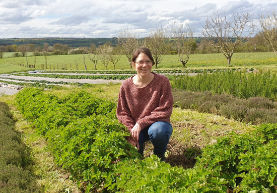 Cueillette de la Mansardière