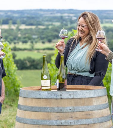 Domaine du Haut-Puiset