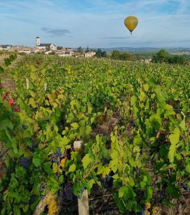 Domaine de la Guignière