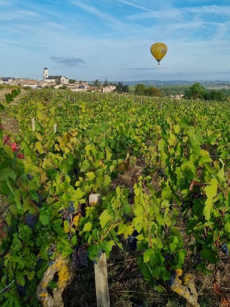 Domaine de la Guignière