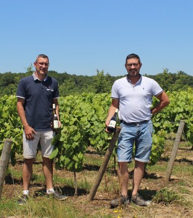 Domaine de la Colline – Vignoble Papin