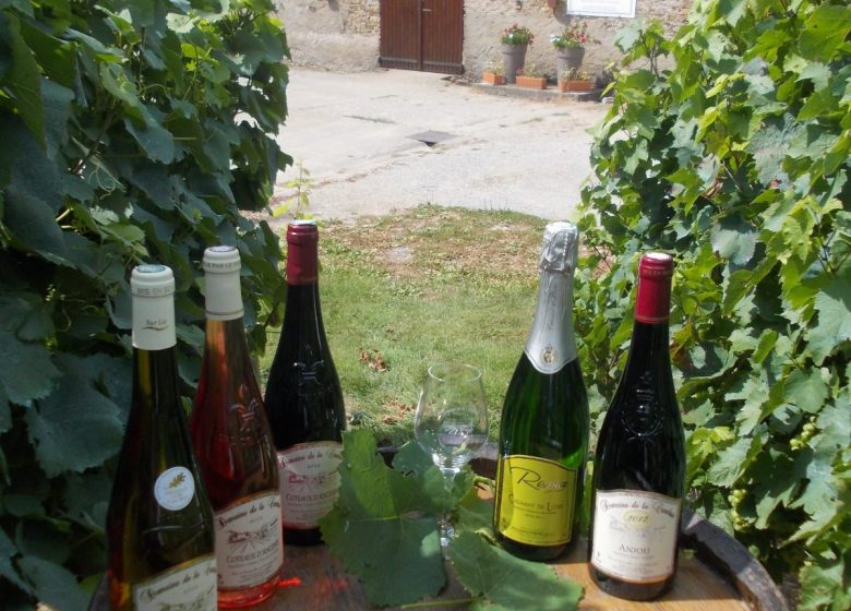 Domaine de la Cambuse
